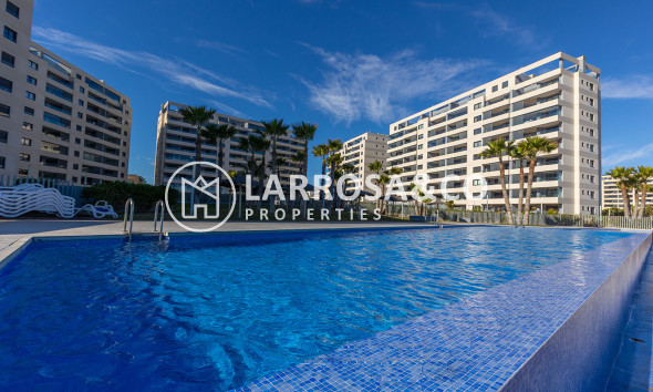 Вторичный рынок - Квартира - Торревьеха - Costa Blanca