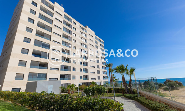 Вторичный рынок - Квартира - Торревьеха - Costa Blanca