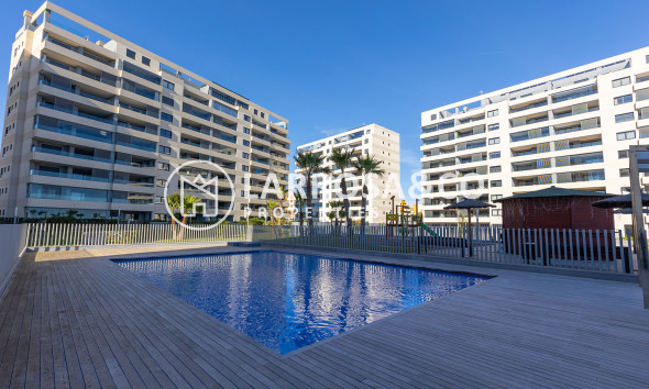Вторичный рынок - Квартира - Торревьеха - Costa Blanca