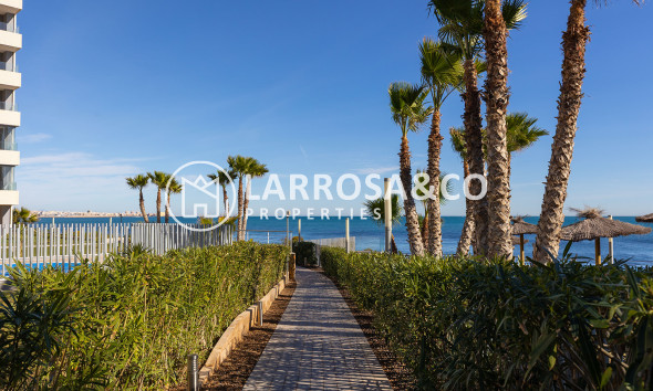 Вторичный рынок - Квартира - Торревьеха - Costa Blanca