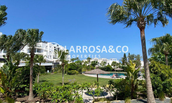 Herverkoop - Penthouse  - Torrevieja - Punta Prima