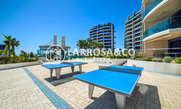 Resale - Penthouse  - Torrevieja - Costa Blanca