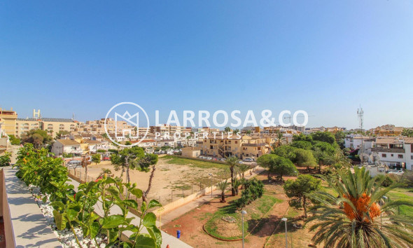 A Vendre - Penthouse  - Torrevieja - Punta Prima