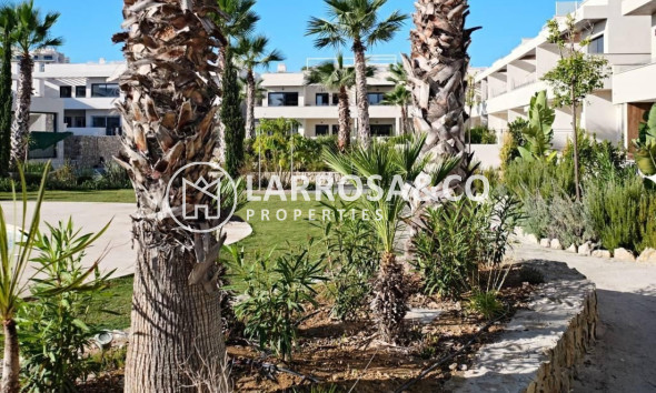 Reventa - Apartamento - Torrevieja - Costa Blanca