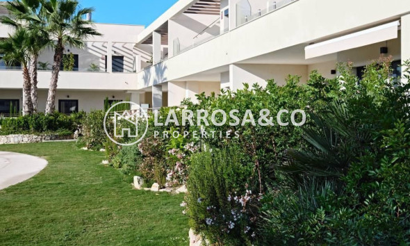 Reventa - Apartamento - Torrevieja - Costa Blanca