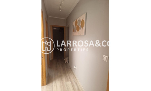 Вторичный рынок - Бунгало - Торревьеха - Los Balcones - Los Altos del Edén