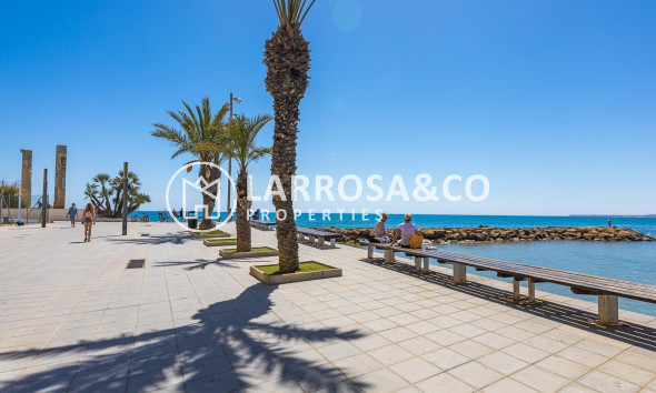 Reventa - Apartamento - Torrevieja - Playa del cura