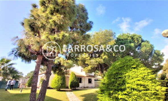 Herverkoop - Villa - Torrevieja - Costa Blanca