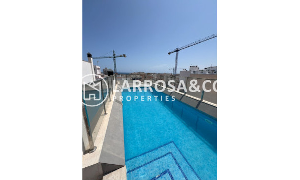 Reventa - Apartamento - Torrevieja - Playa del cura