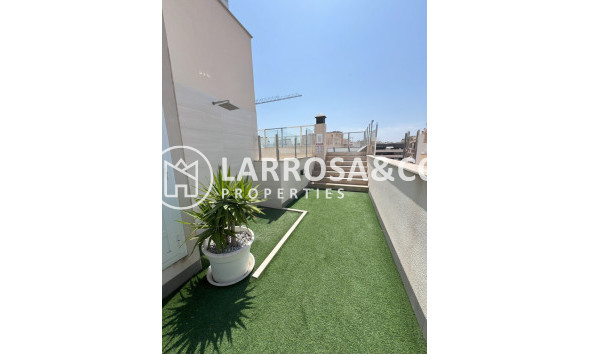 Reventa - Apartamento - Torrevieja - Playa del cura