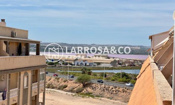 Вторичный рынок - Пентхаус - Торревьеха - Costa Blanca