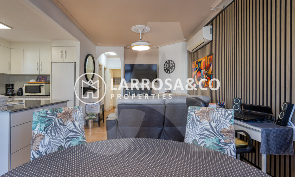 Resale - Detached House/Villa - Guardamar del Segura - El Raso