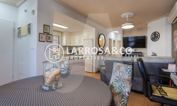 Resale - Detached House/Villa - Guardamar del Segura - El Raso