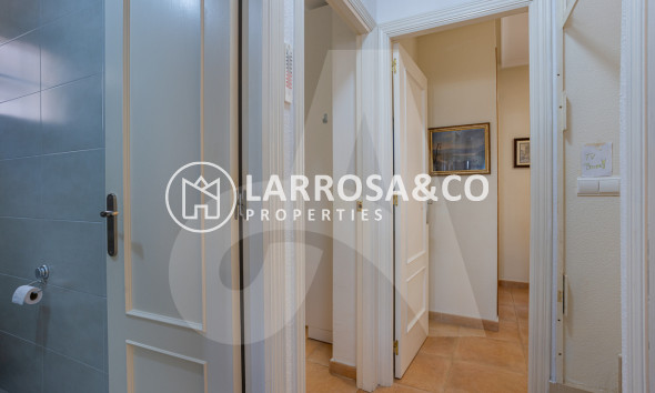 Resale - Detached House/Villa - Guardamar del Segura - El Raso