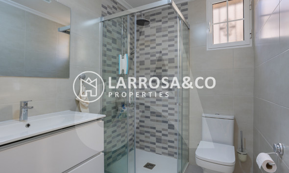 Resale - Detached House/Villa - Guardamar del Segura - El Raso