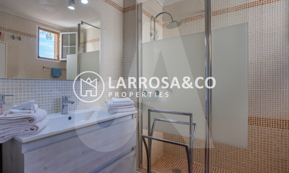 Resale - Detached House/Villa - Guardamar del Segura - El Raso