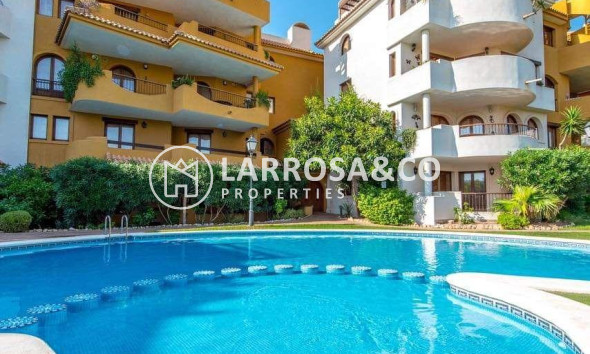 Вторичный рынок - Квартира - Торревьеха - Пунта Прима