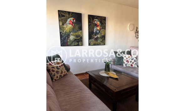 Вторичный рынок - Квартира - Торревьеха - Пунта Прима