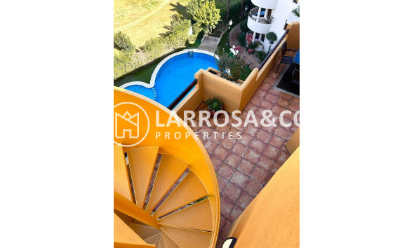 Вторичный рынок - Квартира - Торревьеха - Пунта Прима