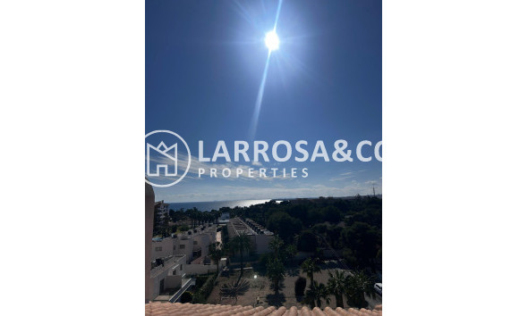 Вторичный рынок - Квартира - Торревьеха - Пунта Прима