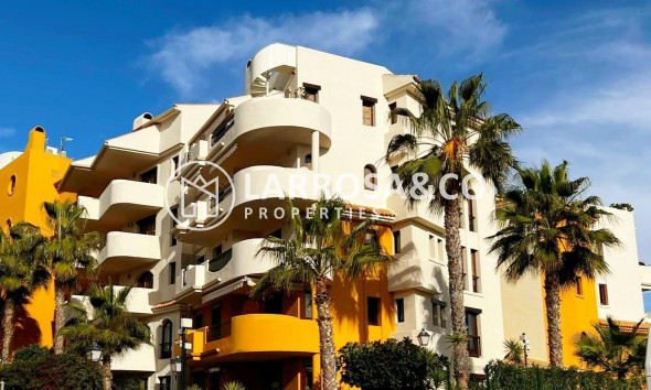 Вторичный рынок - Квартира - Торревьеха - Пунта Прима