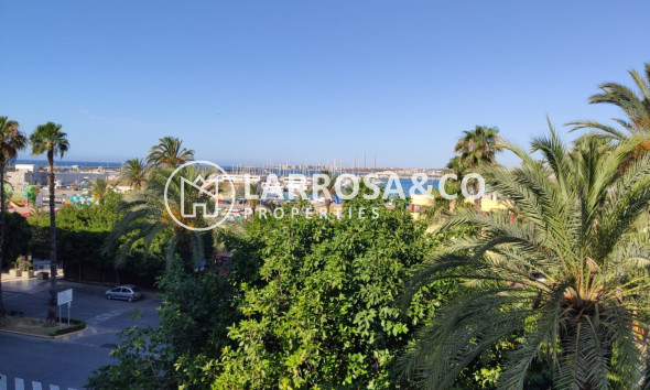 Вторичный рынок - Квартира - Торревьеха - Puerto