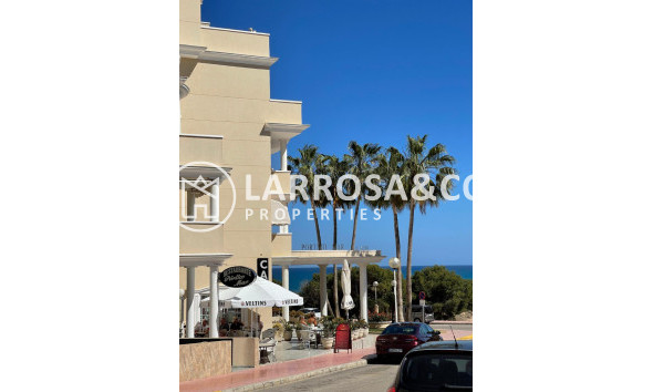 Reventa - Local - Guardamar del Segura - Costa Blanca