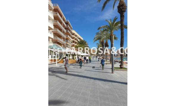 Resale - Apartment - Torrevieja - Estacion de autobuses