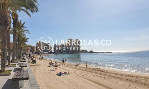 Resale - Apartment - Torrevieja - Estacion de autobuses