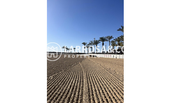 Resale - Apartment - Torrevieja - Estacion de autobuses