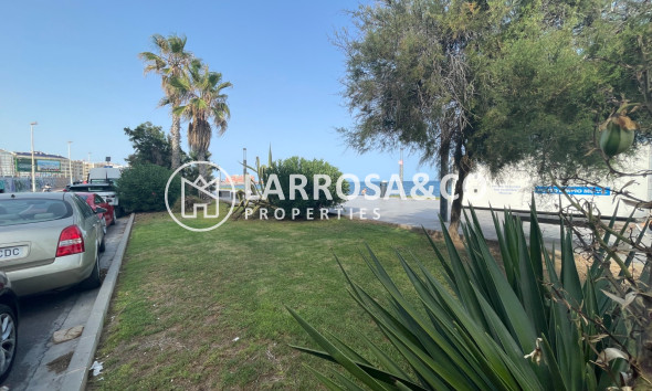 Вторичный рынок - Коммерческая площадь - Торревьеха - Costa Blanca