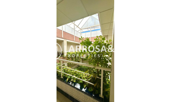 A Vendre - Penthouse  - Torrevieja - Centro