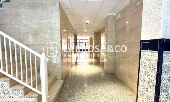 A Vendre - Penthouse  - Torrevieja - Centro