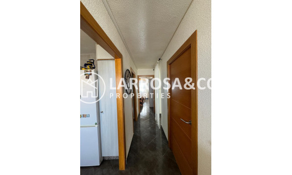 Вторичный рынок - Квартира - Торревьеха - Playa del cura