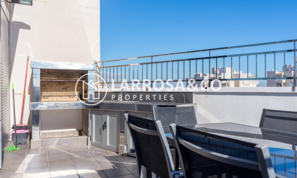 Вторичный рынок - Квартира - Торревьеха - Estacion de autobuses