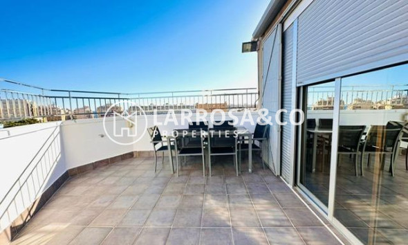 Вторичный рынок - Квартира - Торревьеха - Estacion de autobuses