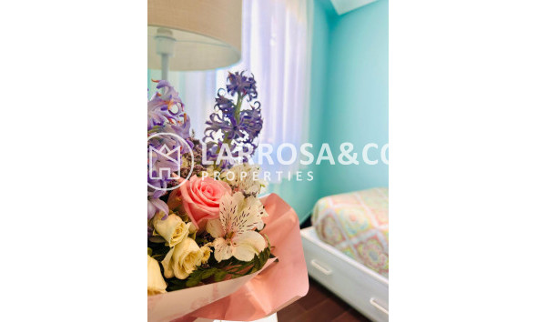 Вторичный рынок - Квартира - Торревьеха - Estacion de autobuses