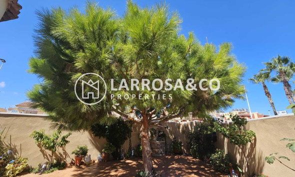 Reventa - Chalet - Torrevieja - Torre del moro