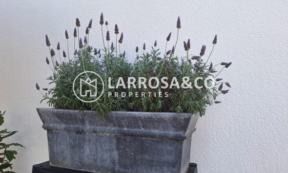 Herverkoop - Villa - Torrevieja - Los Balcones - Los Altos del Edén