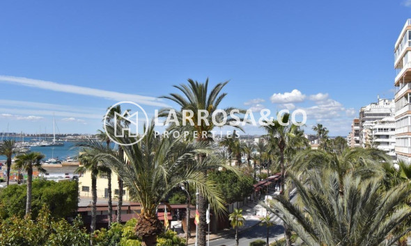 Herverkoop - Apartment - Torrevieja - Centro - Muelle Pesquero