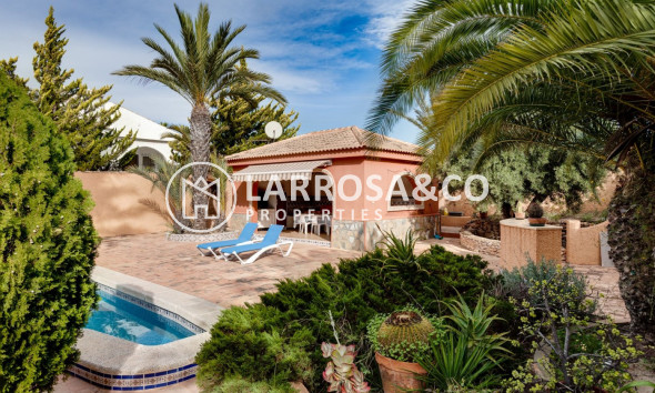 Herverkoop - Villa - Torrevieja - San luis