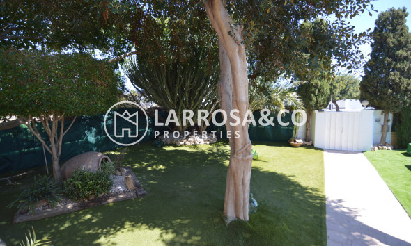 Reventa - Chalet - Torrevieja - Costa Blanca