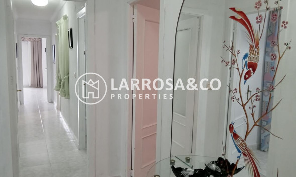 Вторичный рынок - Квартира - Торревьеха - PLAYA LOS LOCOS