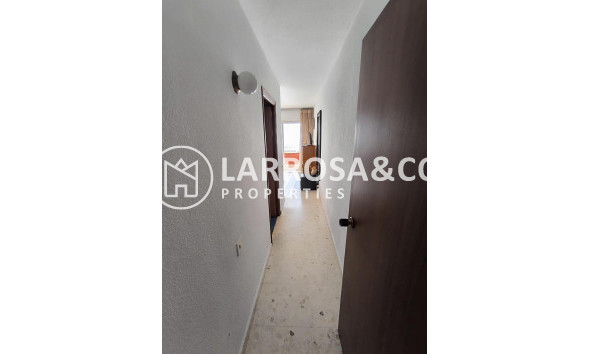Reventa - Apartamento - Torrevieja - Las Piscinas Naturales