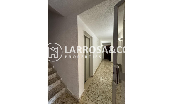 A Vendre - Apartment - Torrevieja - Playa del cura
