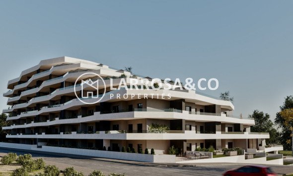New build - Apartment - San Miguel de Salinas - Pueblo