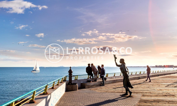 Resale - Apartment - Torrevieja - Centro - Muelle Pesquero