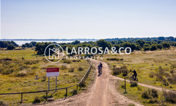 Resale - Apartment - Torrevieja - Centro - Muelle Pesquero