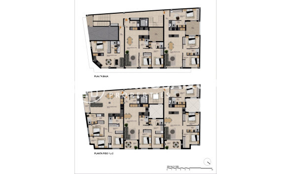 Obra Nueva - Apartamento - Catral - pueblo