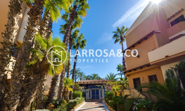 A Vendre - Apartment - Torrevieja - Los Locos Beach